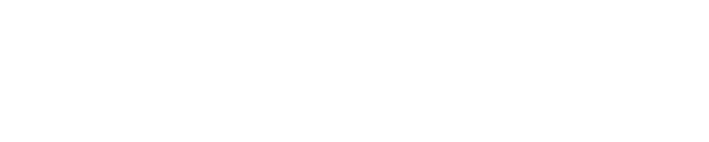 Nexlead Logo